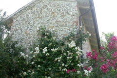 Consolidamento casali